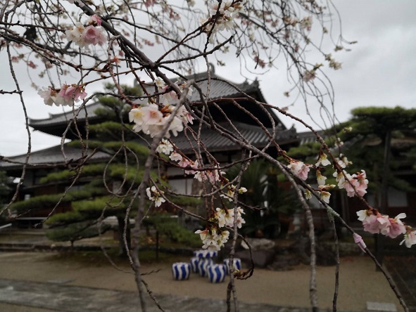 歴史を辿る(あんばよう)