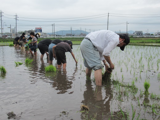 貴重な体験ができるよ♪(マルベリー･NSLA)