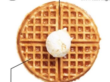 フレフレフソウ