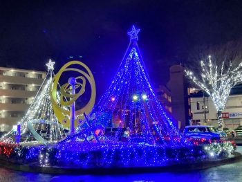 今年も輝きを見に行こう(発展会)